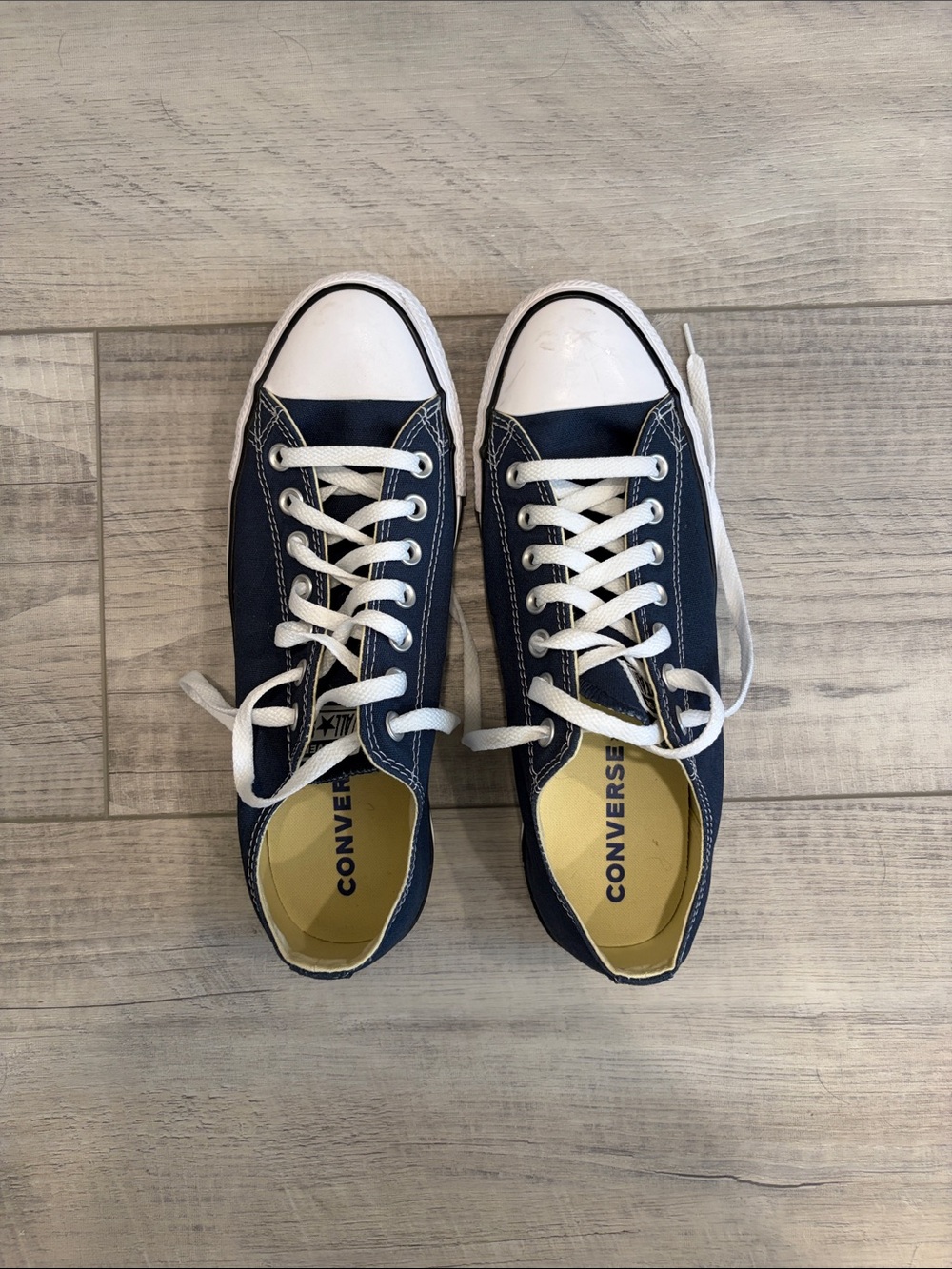 Converse Low-Top Canvas Sneakers in Navy and White